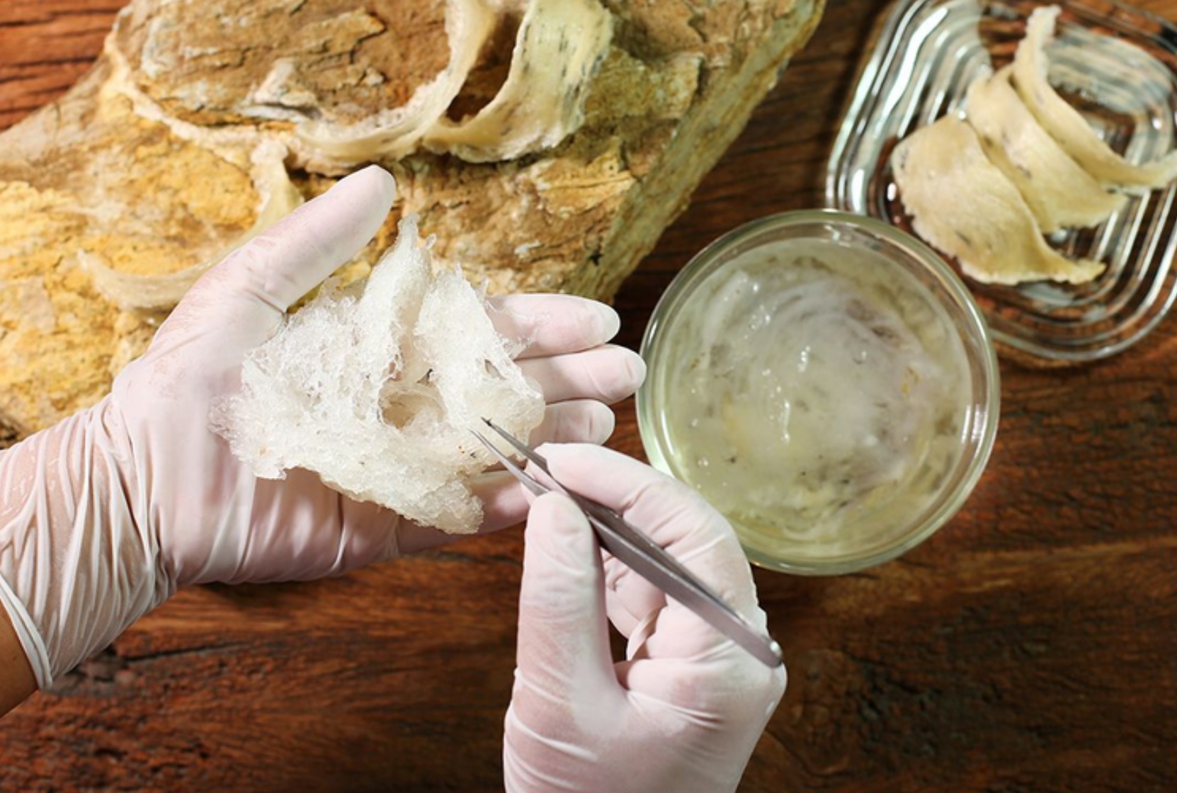 How to Clean Raw Bird’s Nest Quickly and Carefully