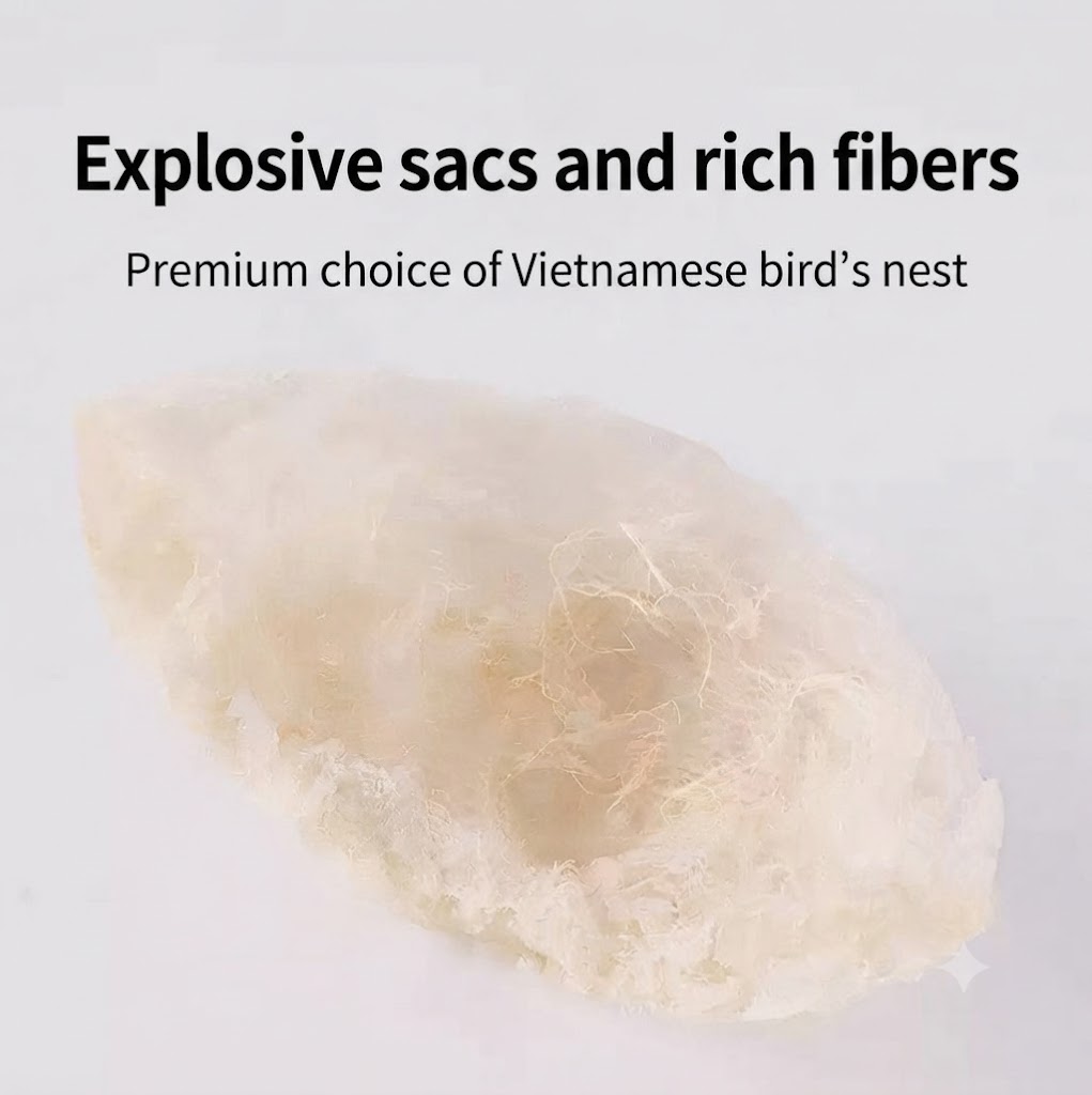 Close-up of thick, naturally porous bird’s nest strands