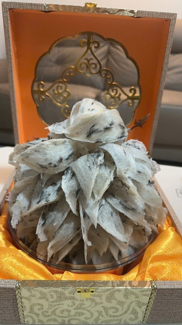 Natural Raw Whole Bird’s Nest Tower (100g)
