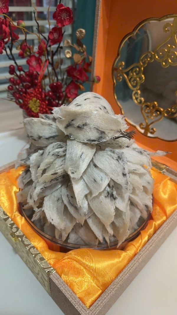 Natural Raw Whole Bird’s Nest Tower (200g)